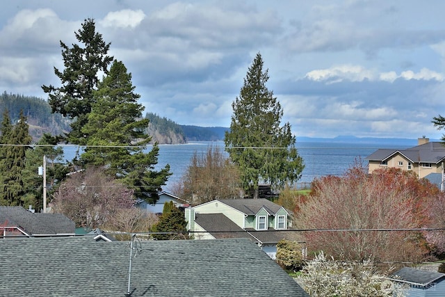 1672 Dorsey Dr, Freeland, WA 98249 - photo 3
