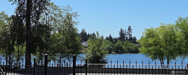 11004 20th Dr SE, Everett, WA 98208 - photo 24