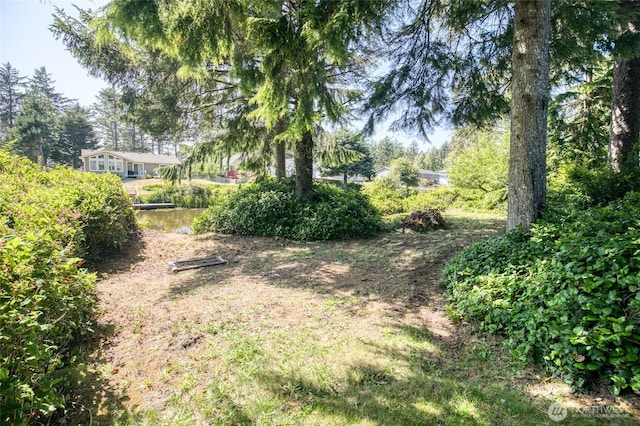 173 Bass Ave SE, Ocean Shores, WA 98569 - photo 34