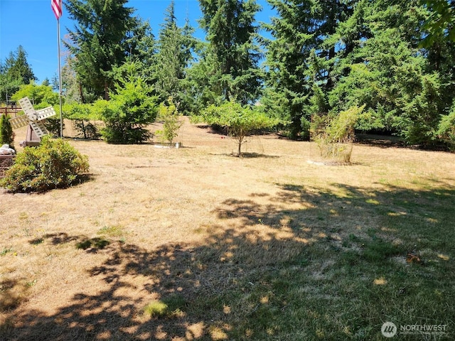 1053 E Crestview Dr, Shelton, WA 98584 - photo 24