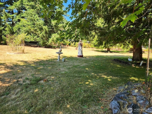 1053 E Crestview Dr, Shelton, WA 98584 - photo 25