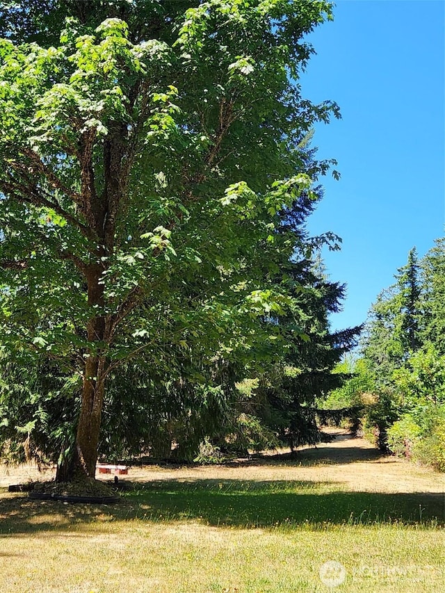 1053 E Crestview Dr, Shelton, WA 98584 - photo 28