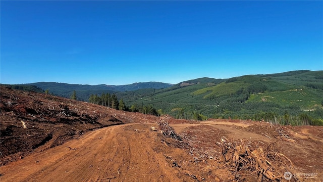 3729 Little Kalama River Rd, Woodland, WA 98584 - photo 9