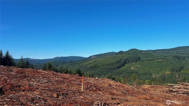 3729 Little Kalama River Rd, Woodland, WA 98584 - photo 18