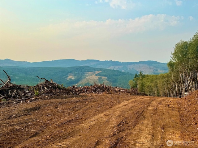 3729 Little Kalama River Rd, Woodland, WA 98584 - photo 26