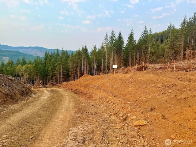 3729 Little Kalama River Rd, Woodland, WA 98584 - photo 28