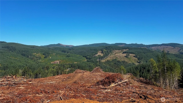 3729 Little Kalama River Rd, Woodland, WA 98584 - photo 30