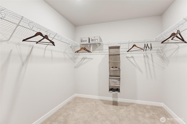 26808 NE 143rd Cir Unit 25, Duvall, WA 98019 - walk in closet featuring carpet