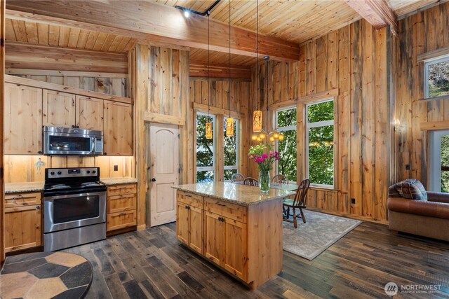 7189 Icicle Rd, Leavenworth, WA 98826 - kitchen featuring appliances with stainless steel finishes, a wooden ceiling with exposed beams, healthy amount of natural light, dark wood-type flooring, and wood walls