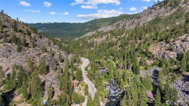 7189 Icicle Rd, Leavenworth, WA 98826 - view of mountain background with a forest