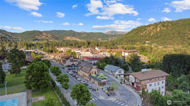 7189 Icicle Rd, Leavenworth, WA 98826 - bird's eye view of a mountainous background and a heavily wooded area