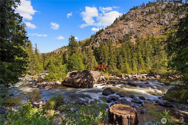 7189 Icicle Rd, Leavenworth, WA 98826 - view of mountain backdrop with a heavily wooded area