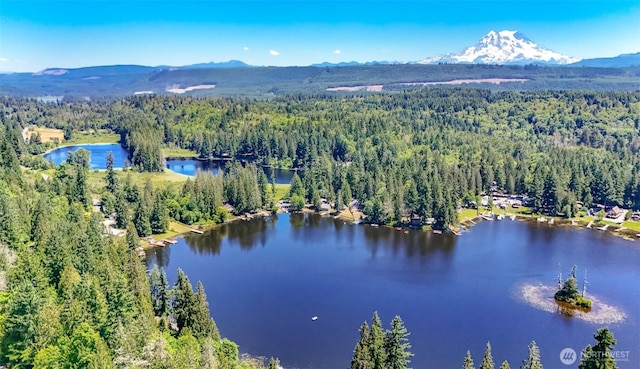 32113 Whitman Lake Dr, Graham, WA 98338 - aerial view of property's location with a forest and a water and mountain view