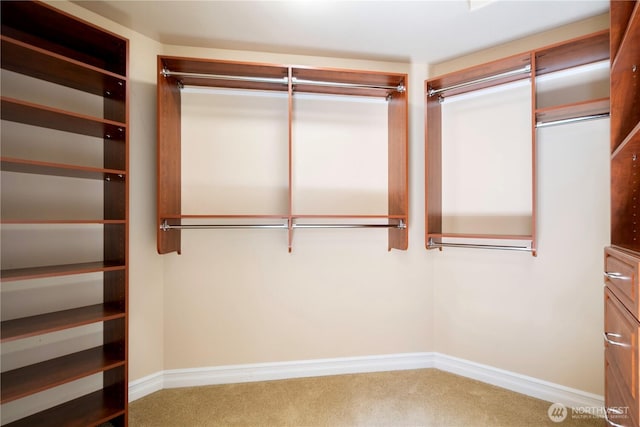 15025 SE 43rd St, Bellevue, WA 98006 - spacious closet featuring carpet flooring
