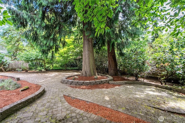 15025 SE 43rd St, Bellevue, WA 98006 - view of yard with a patio area