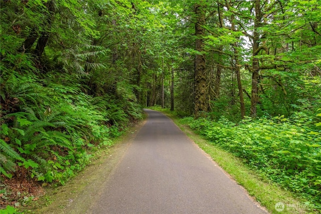 1546 Reservation Rd SE Unit 62, Olympia, WA 98513 - surrounding community featuring a view of trees