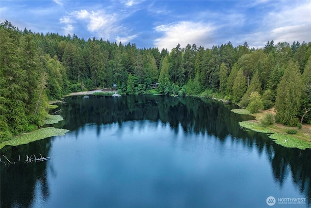 1546 Reservation Rd SE Unit 62, Olympia, WA 98513 - water view featuring a forest