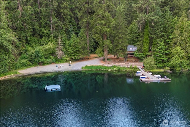 1546 Reservation Rd SE Unit 62, Olympia, WA 98513 - aerial view of a large body of water