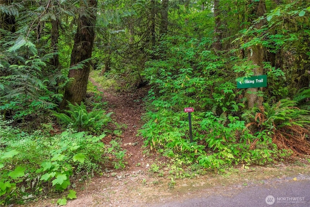 1546 Reservation Rd SE Unit 62, Olympia, WA 98513 - view of tree filled area