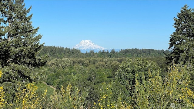 1546 Reservation Rd SE Unit 62, Olympia, WA 98513 - view of mountain backdrop featuring a heavily wooded area
