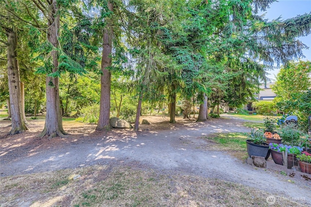 120 124th St SW Unit A5, Everett, WA 98204 - photo 26