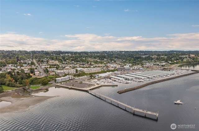 22315 6th Ave S Unit A109, Des Moines, WA 98198 - bird's eye view of a large body of water and a tree filled landscape