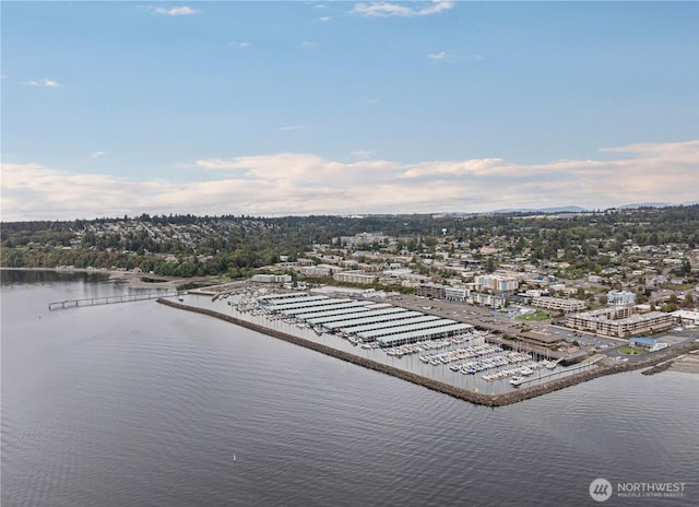 22315 6th Ave S Unit A109, Des Moines, WA 98198 - bird's eye view of a nearby body of water