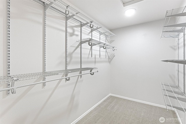 11511 188th St SE, Snohomish, WA 98296 - spacious closet with carpet
