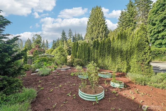 1209 Yew St, Bellingham, WA 98229 - view of yard featuring a garden
