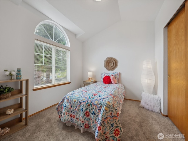 36261 23rd Pl S, Federal Way, WA 98003 - bedroom with vaulted ceiling and carpet flooring