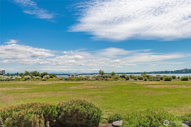 9424 Turnstone Ln Unit 29, Blaine, WA 98230 - view of yard featuring a water view
