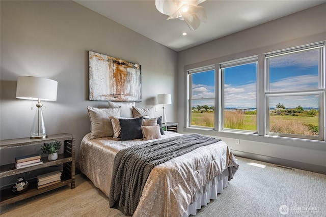 9424 Turnstone Ln Unit 29, Blaine, WA 98230 - bedroom with ceiling fan
