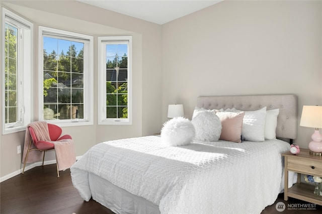 4102 194th Pl NE, Sammamish, WA 98074 - photo 26