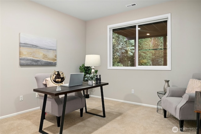 4102 194th Pl NE, Sammamish, WA 98074 - photo 30