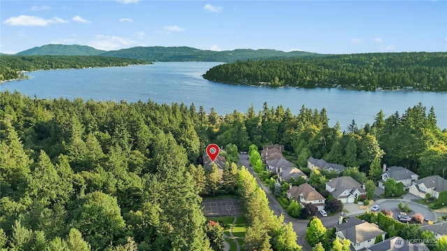 4102 194th Pl NE, Sammamish, WA 98074 - photo 39