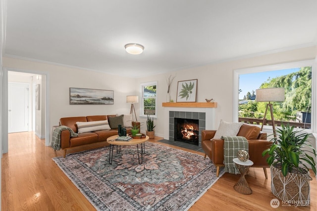 8051 30th Ave NW, Seattle, WA 98117 - living area featuring crown molding, wood finished floors, and a fireplace