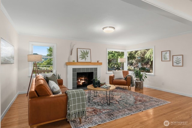 8051 30th Ave NW, Seattle, WA 98117 - living room featuring a tiled fireplace, wood finished floors, and crown molding