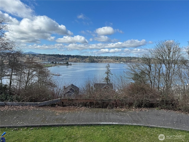 1701 Pear St NE, Olympia, WA 98506 - photo 3