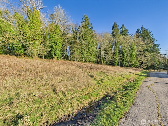 1701 Pear St NE, Olympia, WA 98506 - photo 1