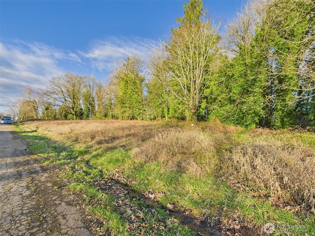 1701 Pear St NE, Olympia, WA 98506 - photo 2