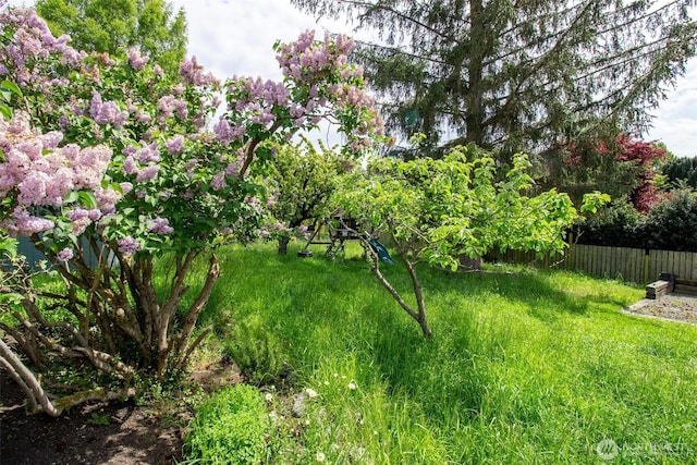 835 J St, Port Townsend, WA 98368 - view of yard