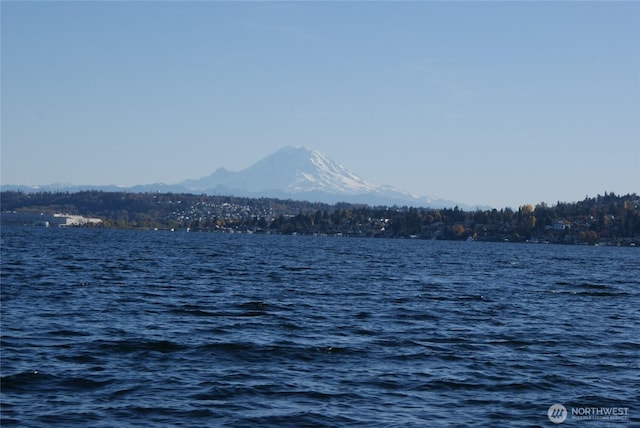 9050 Seward Park Ave S Unit 91, Seattle, WA 98118 - photo 1