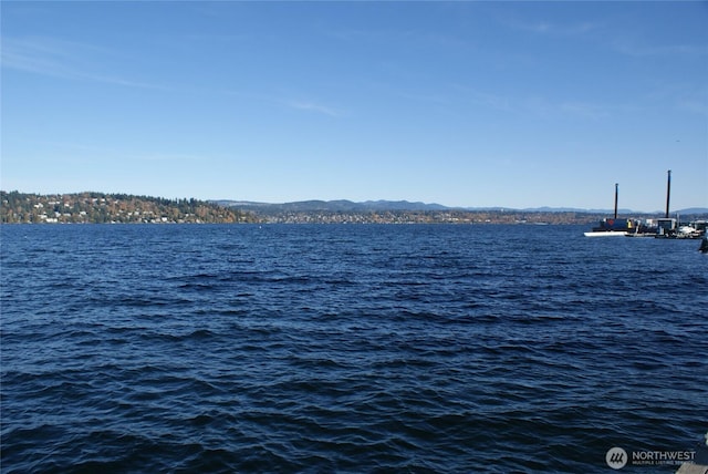 9050 Seward Park Ave S Unit 91, Seattle, WA 98118 - photo 6
