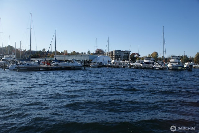 9050 Seward Park Ave S Unit 91, Seattle, WA 98118 - photo 13