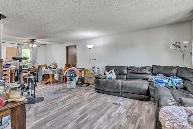 15414 121st Avenue Ct E, Puyallup, WA 98374 - living area featuring ceiling fan, wood finished floors, and a textured ceiling