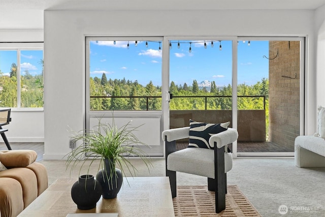 4545 Sand Point Way NE Unit 806, Seattle, WA 98105 - view of living area