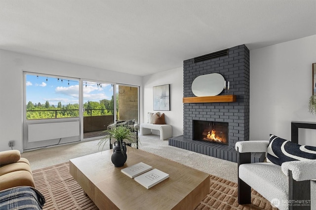 4545 Sand Point Way NE Unit 806, Seattle, WA 98105 - living room with carpet floors and a fireplace