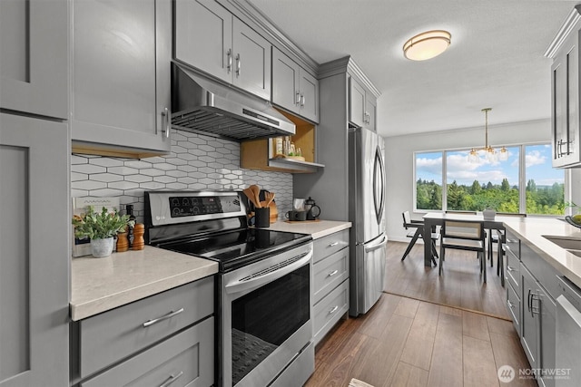4545 Sand Point Way NE Unit 806, Seattle, WA 98105 - kitchen featuring appliances with stainless steel finishes, gray cabinets, under cabinet range hood, and light countertops