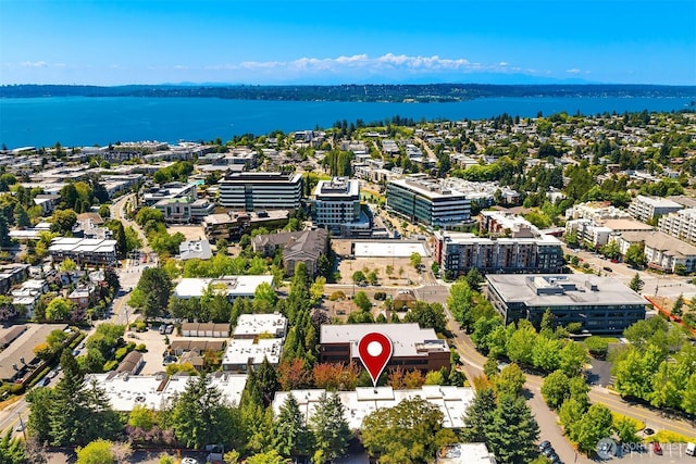 703 4th Ave Unit 206, Kirkland, WA 98033 - photo 28