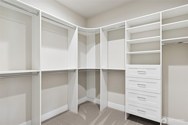 14449 133rd Pl NE, Woodinville, WA 98072 - spacious closet with carpet floors